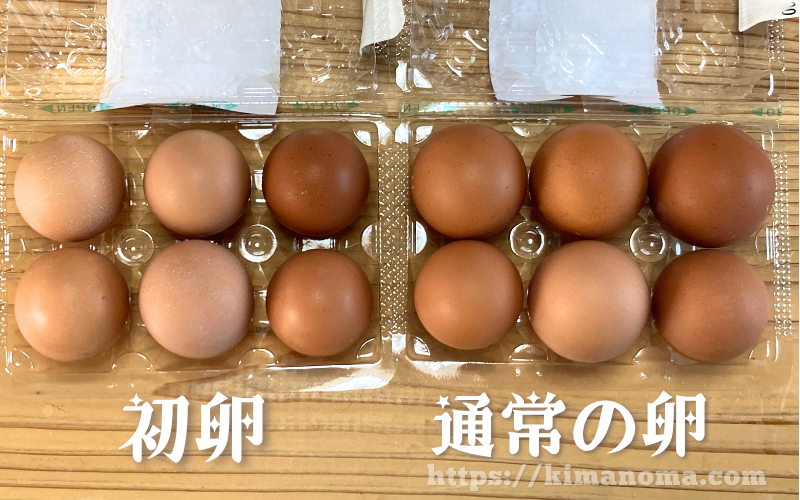 6個入りのネラの初卵と通常の卵